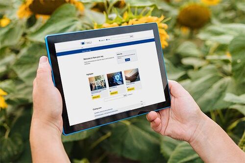 Ein Tablet in den Händen einer Person zeigt die Website der EU-Beteiligungsplattform „Have Your Say“ vor einem Hintergrund aus Sonnenblumen | Sabine Verheyen